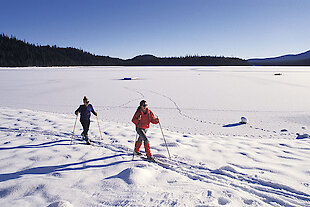 Winterurlaub am Arber